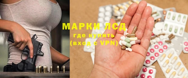 прущие грибы Краснослободск