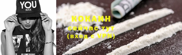 прущие грибы Краснослободск