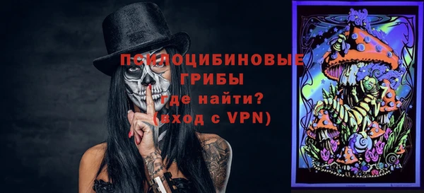 прущие грибы Краснослободск