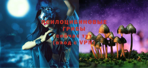 прущие грибы Краснослободск