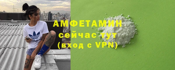 прущие грибы Краснослободск