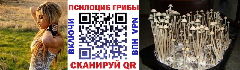 Псилоцибиновые грибы прущие грибы Купить закладки Кочубеевское