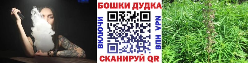 Бошки марихуана Amnesia Кочубеевское